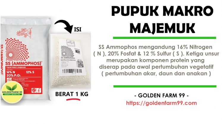 Cari Tahu Yuk Apa Itu Pupuk Npk Makro Majemuk Ss Ammophos Golden