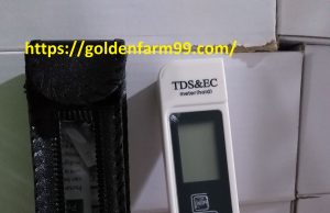 TDS Meter