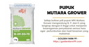 npk mutiara grower