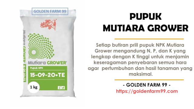 npk mutiara grower