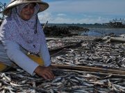 daerah penghasil perikanan terbesar di indonesia