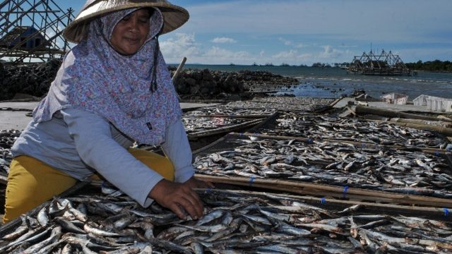 daerah penghasil perikanan terbesar di indonesia
