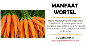 hama dan penyakit tanaman wortel