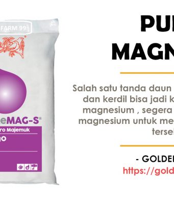 meroke magnesium s