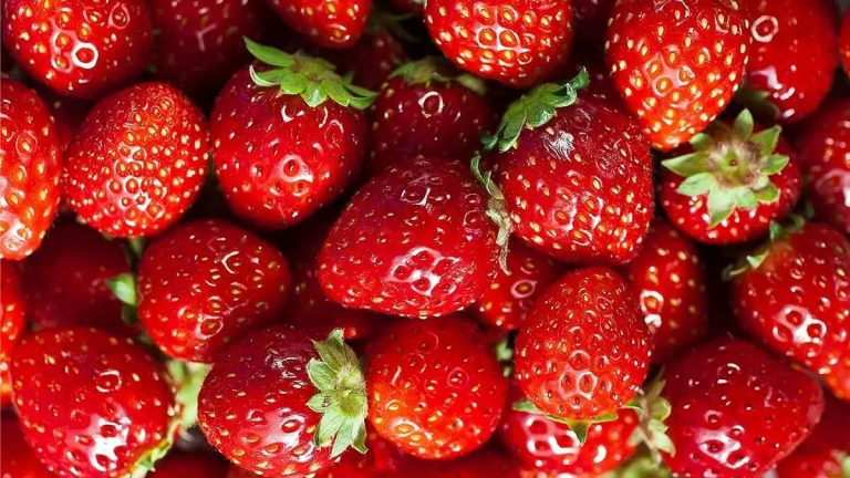 Apa Saja Manfaat Strawberry Untuk Kesehatan Tubuh Dan Ibu Hamil ? Cek ...