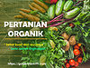 pertanian organik