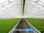 jenis greenhouse