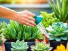 Tips Cara Merawat Tanaman dengan Mudah tips cara merawat tanaman