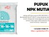 Cari Tahu Apa Itu Pupuk NPK 16 16 16: Kandungan dan Manfaatnya pupuk npk 16 16 16