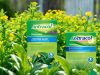 Fungsi Antracol: Perlindungan Tanaman dari Hama dan Penyakit fungsi antracol