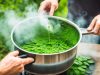 Tips dan Trik : Cara Merebus Daun Kelor dengan Benar cara merebus daun kelor