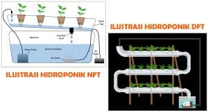 NFT vs DFT: Perbedaan, Biaya, Risiko Mati Listrik, dan Pilihan untuk Pemula perbedaan nft dan dft