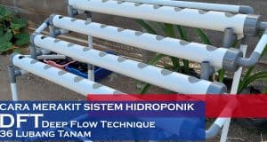 Sistem Hidroponik DFT: Teknik Bertanam Praktis dengan Hasil Optimal sistem hidroponik dft