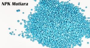 Apa Itu Pupuk Mutiara? Manfaat, Kandungan, dan Cara Menggunakannya pupuk mutiara