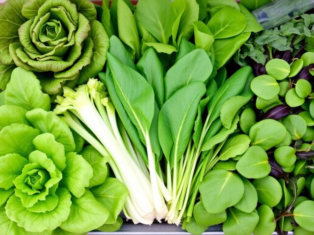 Berbagai jenis sayuran daun hidroponik yang segar