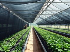 Jaring Paranet: Fungsi, Jenis, Cara Memilih, dan Harga untuk Tanaman & Rumah Greenhouse dengan Jaring Paranet yang menghasilkan tanaman berkualitas tinggi