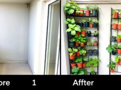 Kebun Vertikal Balkon 1 Meter: Panduan Lengkap Menanam 20+ Pot Sayuran Perbandingan balkon sebelum dan sesudah dibuat kebun vertikal 1 meter