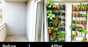 Kebun Vertikal Balkon 1 Meter: Panduan Lengkap Menanam 20+ Pot Sayuran Perbandingan balkon sebelum dan sesudah dibuat kebun vertikal 1 meter