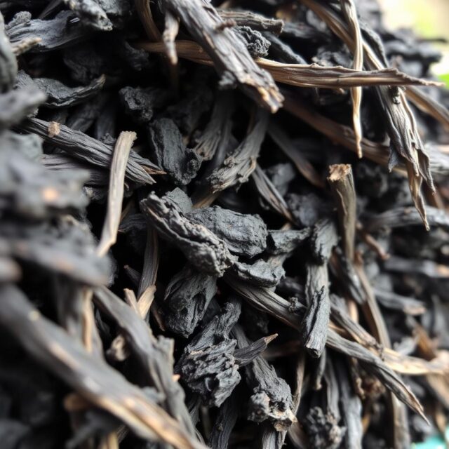 Sekam bakar untuk meningkatkan drainase dalam planter bag Sekam bakar untuk meningkatkan drainase dalam planter bag