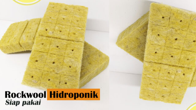 rockwool siap pakai rockwool cultilene