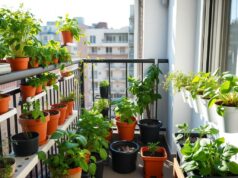 Urban Farming di Balkon: 5 Setup Anti Ribet untuk Pemula Setup urban farming di balkon apartemen dengan berbagai tanaman sayuran dalam pot