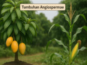 Contoh Tumbuhan Angiospermae: Ciri, Klasifikasi, Perbedaan, dan Daftar Lengkap Contoh Tumbuhan Angiospermae